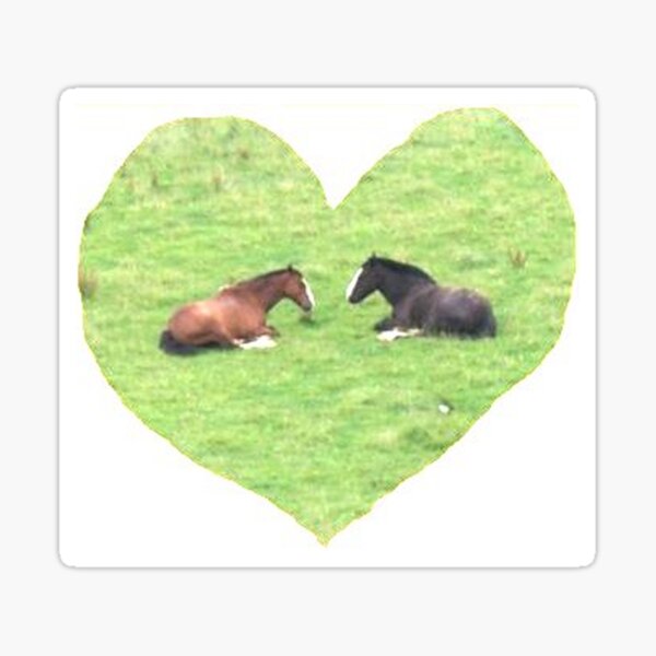 Horse Love Heart - 2 Horses on Grass Photo Sticker