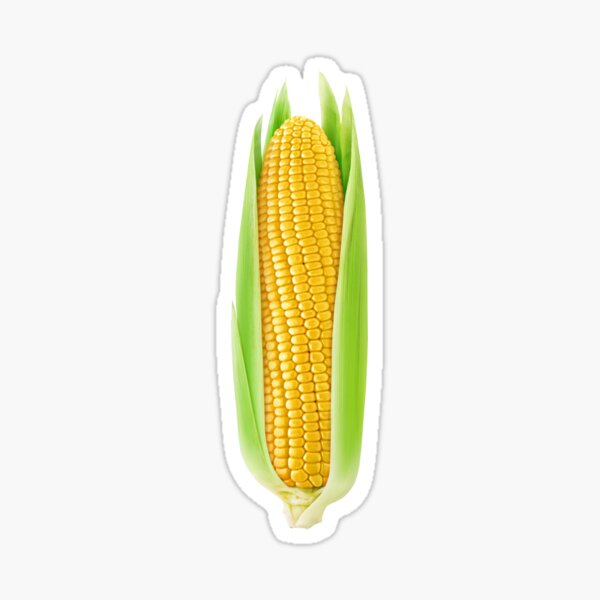 Corn Sticker