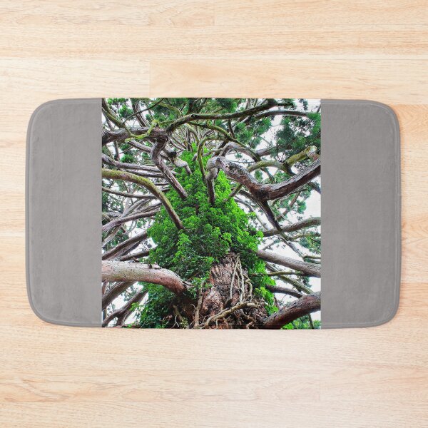 Item preview, Branching Out!! - Big Old Tree designed and sold by Phil Le Cren.