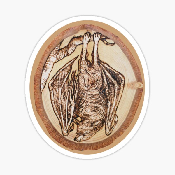 1800s Bat Illustration Artwork! Sticker