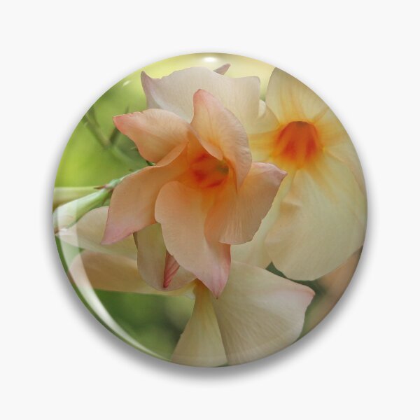 Item preview, Apricot Mandevilla designed and sold by Debbie Oppermann.