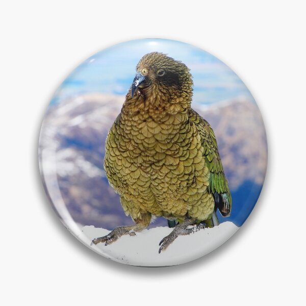 Item preview, Kea - New Zealand's Alpine Parrot (1) designed and sold by Phil Le Cren.