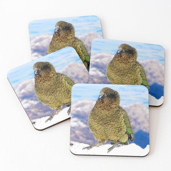 Item preview, Kea - New Zealand's Alpine Parrot (1) designed and sold by Phil Le Cren.