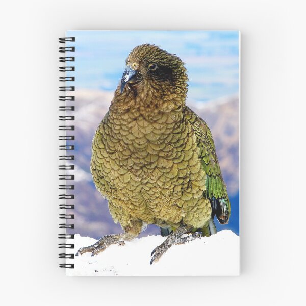 Item preview, Kea - New Zealand's Alpine Parrot (1) designed and sold by Phil Le Cren.