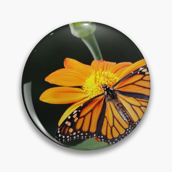 Item preview, Monarch Butterfly On Mexican Sunflower designed and sold by Debbie Oppermann.