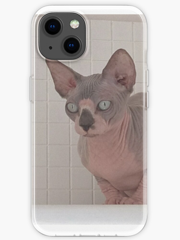 Coque Iphone Sphynx Chat Blanc Avec Du Blanc Tonkinois Par Royalsphynxcat Redbubble