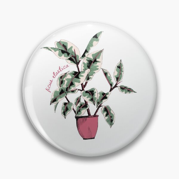 Item preview, Ficus Elastica- Rubber Tree Houseplant designed and sold by kates20402.
