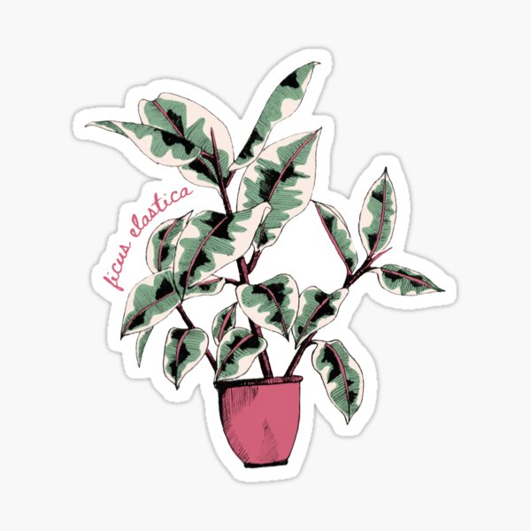 Rubber Tree Sticker by Sunshine-Arts, Redbubble