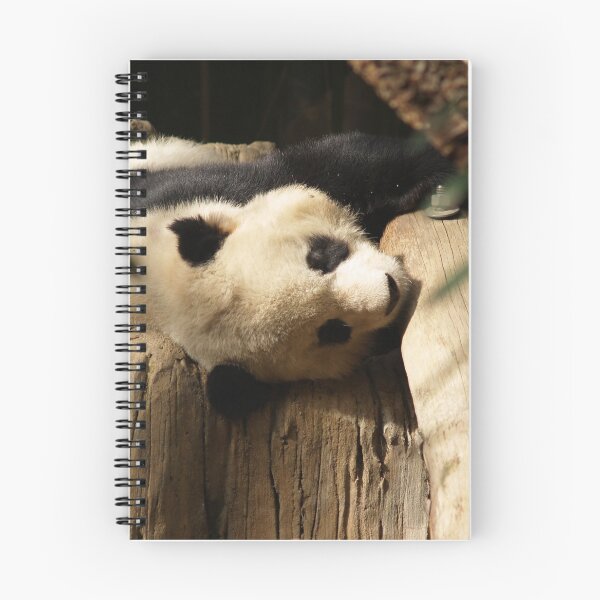 Item preview, Panda designed and sold by SashaSprite.