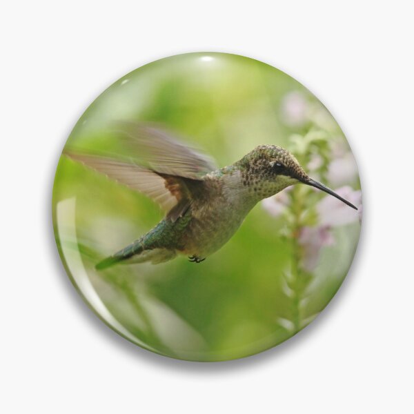 Item preview, Hummer And Obedient Plant designed and sold by Debbie Oppermann.