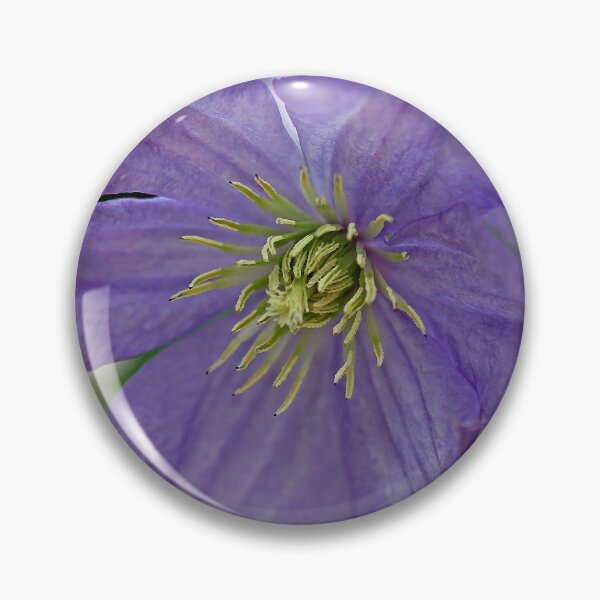 Item preview, Softly Purple Clematis designed and sold by Debbie Oppermann.