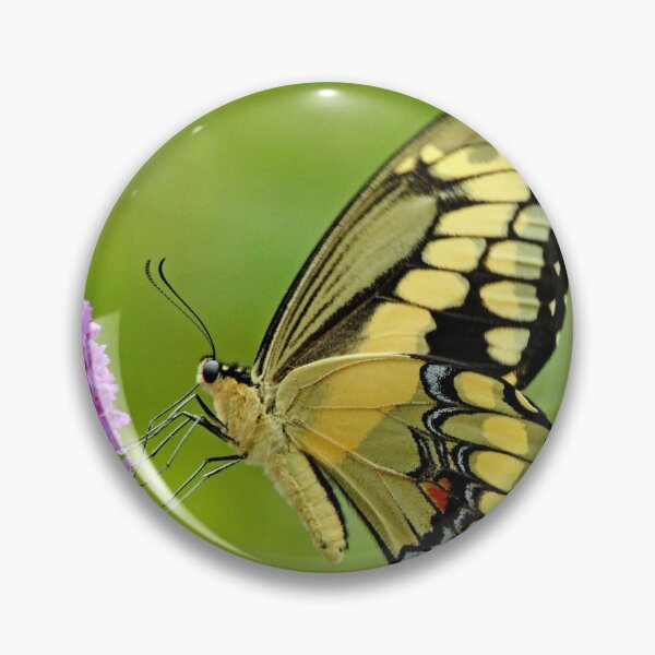 Item preview, Giant Swallowtail On Buddleia designed and sold by Debbie Oppermann.