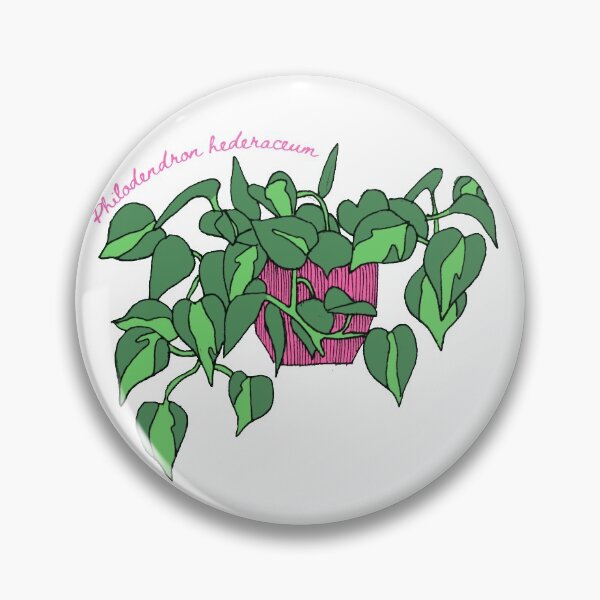 Artikelvorschau, Philodendron hederaceum- Philodendron Brasil Zimmerpflanze entworfen und verkauft von kates20402.