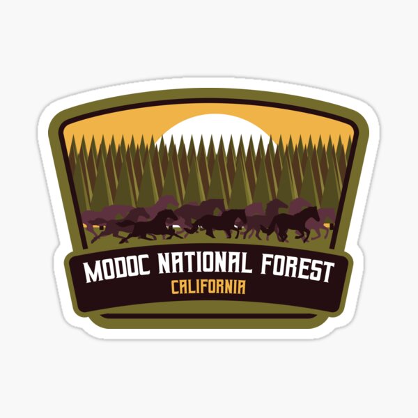 Item preview, Modoc National Forest - California designed and sold by Moritz Schwäble.