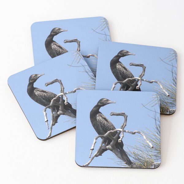 Item preview, Little Black Cormorant ~ "Black on Blue"  designed and sold by Robert Elliott.
