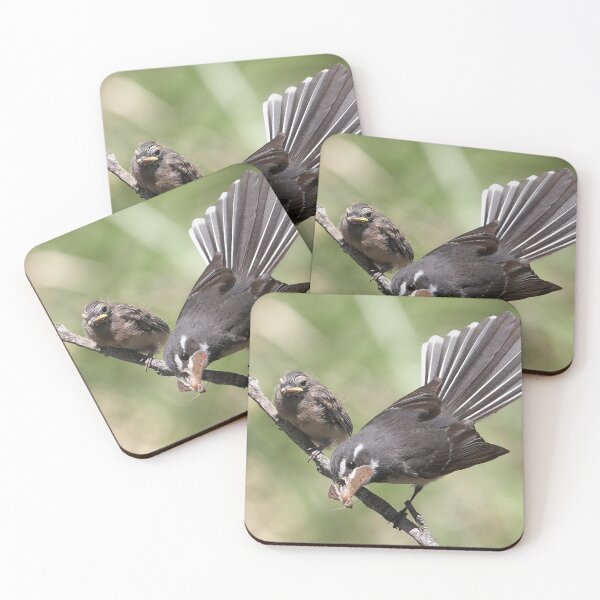 Item preview, Grey Fantail and chick ~ "Lunch Has Arrived"  designed and sold by Robert Elliott.
