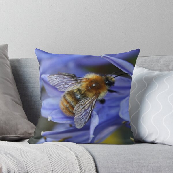 Aperçu de l'œuvre Abeille sur Agapanthus créée et vendue par AnnDixon.