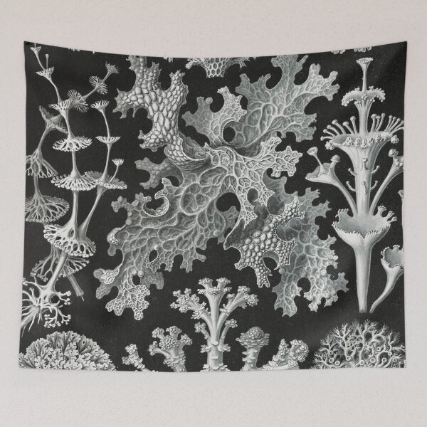 Item preview, Vintage Mushrooms and Microorganisms designed and sold by redoARTstore.