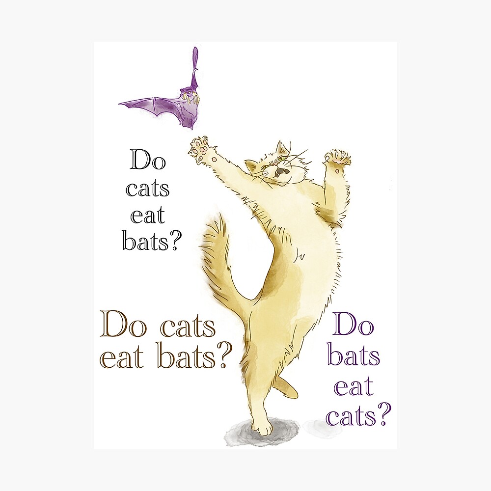 do cats eat bats