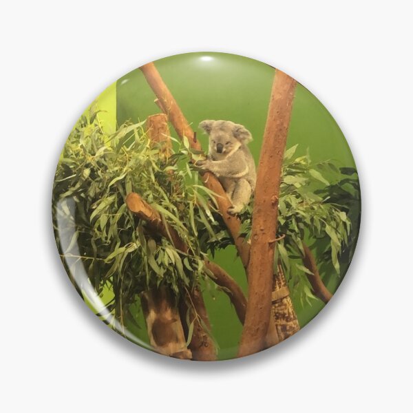 Item preview, Koala on a Branch designed and sold by schneidercf.
