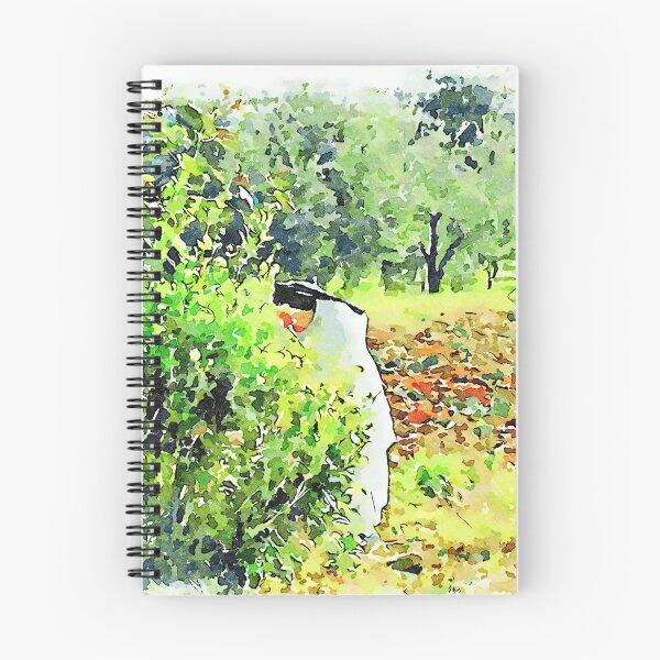 Item preview, Hortus Conclusus: nun collects flowers designed and sold by Giuseppe Cocco.