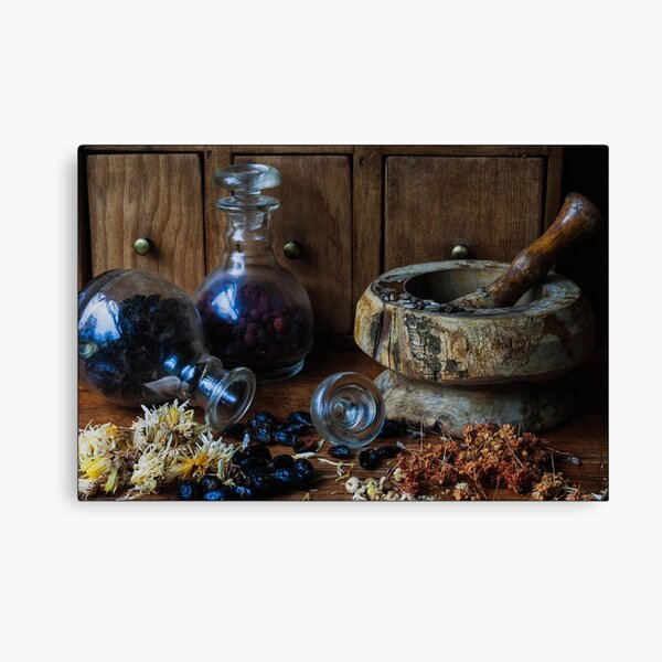 The Apothecary's Apprentice Canvas Print