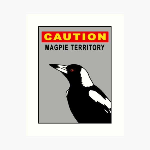 Item preview, Magpie CloseUp CAUTION - Grey designed and sold by Birds & Things.