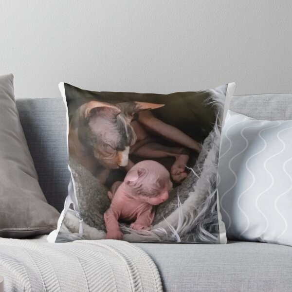 Item preview, Mom and her kitten sphynx sleeping designed and sold by royalsphynxcat.