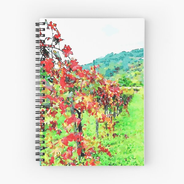 Item preview, Hortus Conclusus: vineyard designed and sold by Giuseppe Cocco.