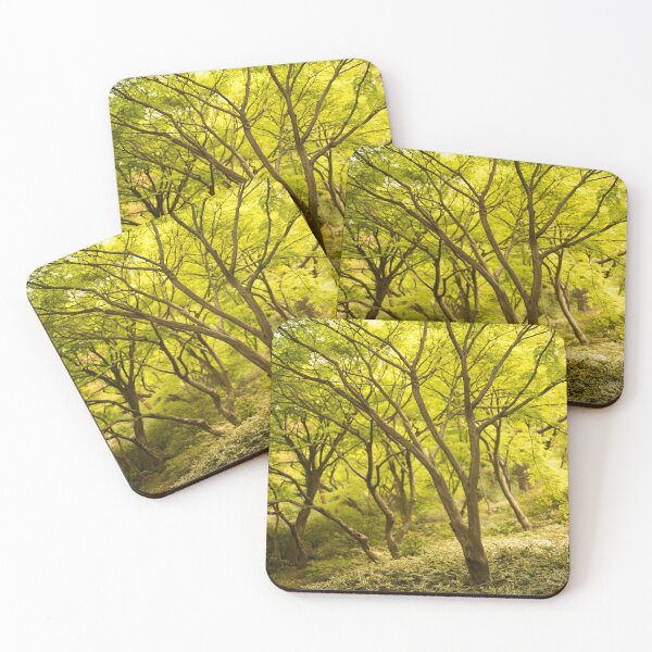 Item preview, Autumn Appreciation Fall color 03 - Tokyo, Japan designed and sold by Norman Repacholi | Keystone Photography.