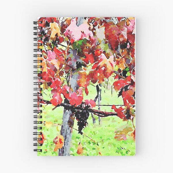 Item preview, Hortus Conclusus: vineyard designed and sold by Giuseppe Cocco.