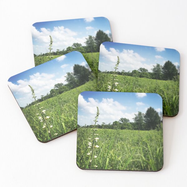 Artikelvorschau, Sunny Meadowbrook 1 - Naturfoto entworfen und verkauft von xtophermorris.