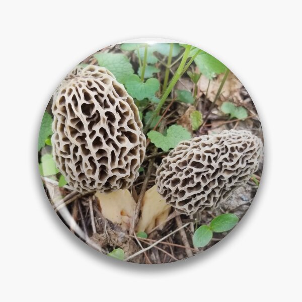 Item preview, Two happy little morels  designed and sold by See2B.