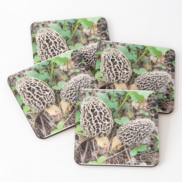 Item preview, Two happy little morels  designed and sold by See2B.