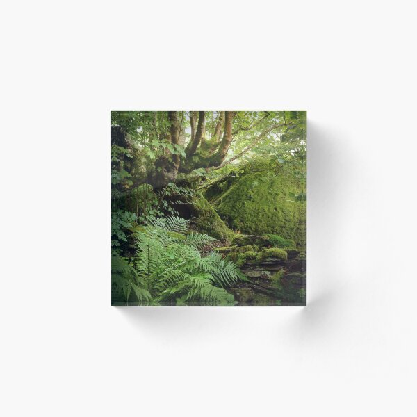 Green leaves and moss Acrylic Block