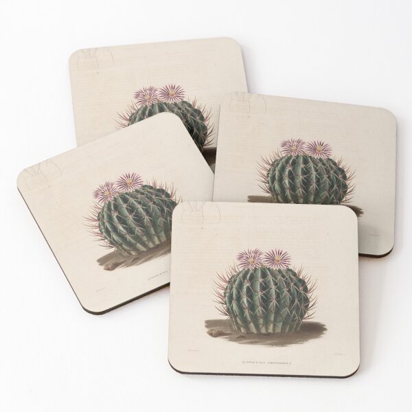 Item preview, Vintage Cactus Illustration designed and sold by xostarboyxo.