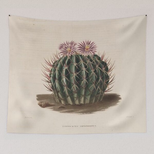 Item preview, Vintage Cactus Illustration designed and sold by xostarboyxo.