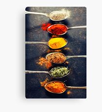 Colorful spices in metal spoons Canvas Print