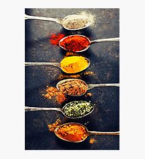 Colorful spices in metal spoons Photographic Print