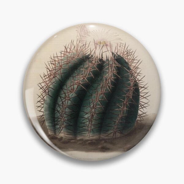 Item preview, Vintage Cactus Illustration with Yellow and Pink Flowers designed and sold by xostarboyxo.