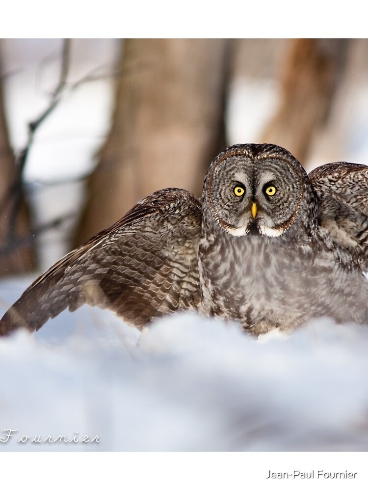 Thumbnail 4 of 4, iPhone Case, Studio Model or Studio Modowl? designed and sold by Japes.
