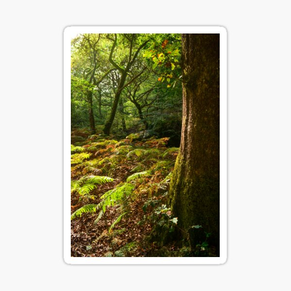 Bright Bracken Sticker