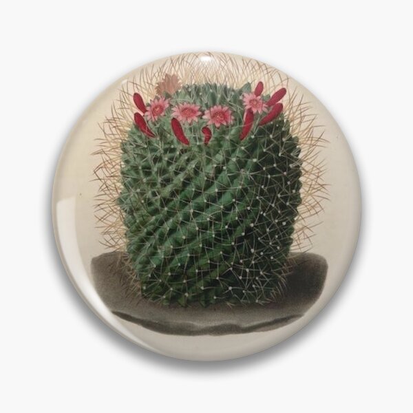 Item preview, Vintage Cactus Illustration with Red and Pink Flowers designed and sold by xostarboyxo.