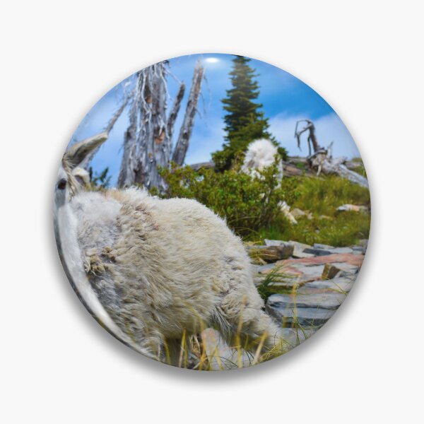 Artikelvorschau, Bergziegen von Idaho entworfen und verkauft von GQViews.