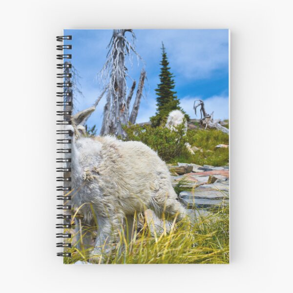 Item preview, Mountain goats of Idaho designed and sold by GQViews.