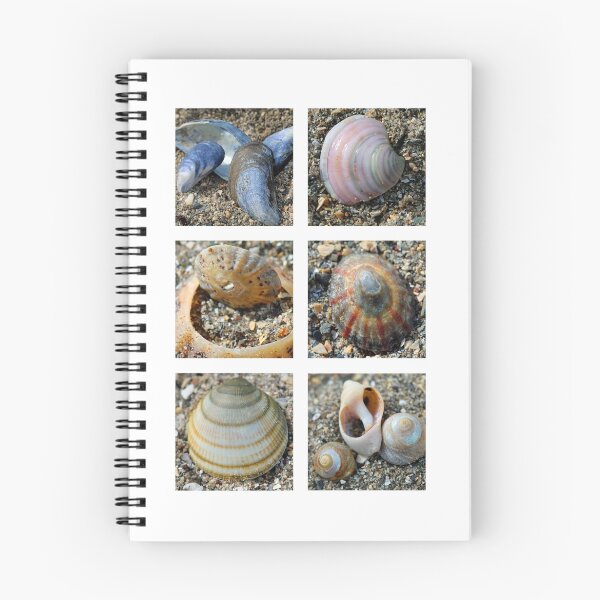 Item preview, Shell Collage designed and sold by Northern Pix.