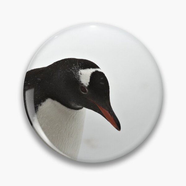 Item preview, Gentoo Penguin ~ "It's a hard life" designed and sold by Robert Elliott.