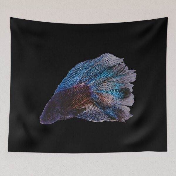 Item preview, Betta Fighting Fish - For All Betta Splendens Lovers designed and sold by AquariumExp.