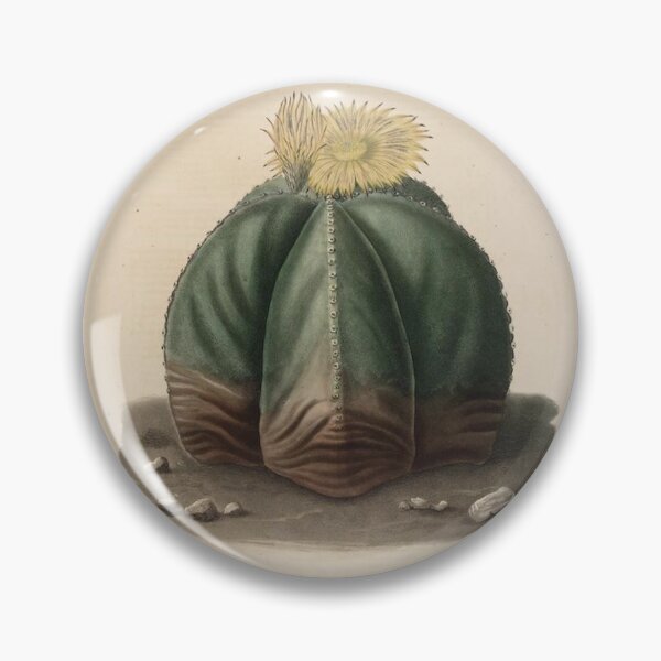 Item preview, Vintage Cactus Illustration with Yellow Flowers designed and sold by xostarboyxo.