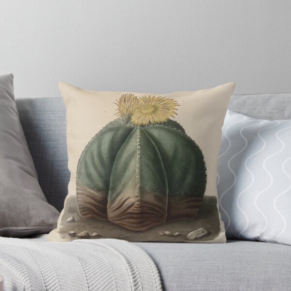 Item preview, Vintage Cactus Illustration with Yellow Flowers designed and sold by xostarboyxo.